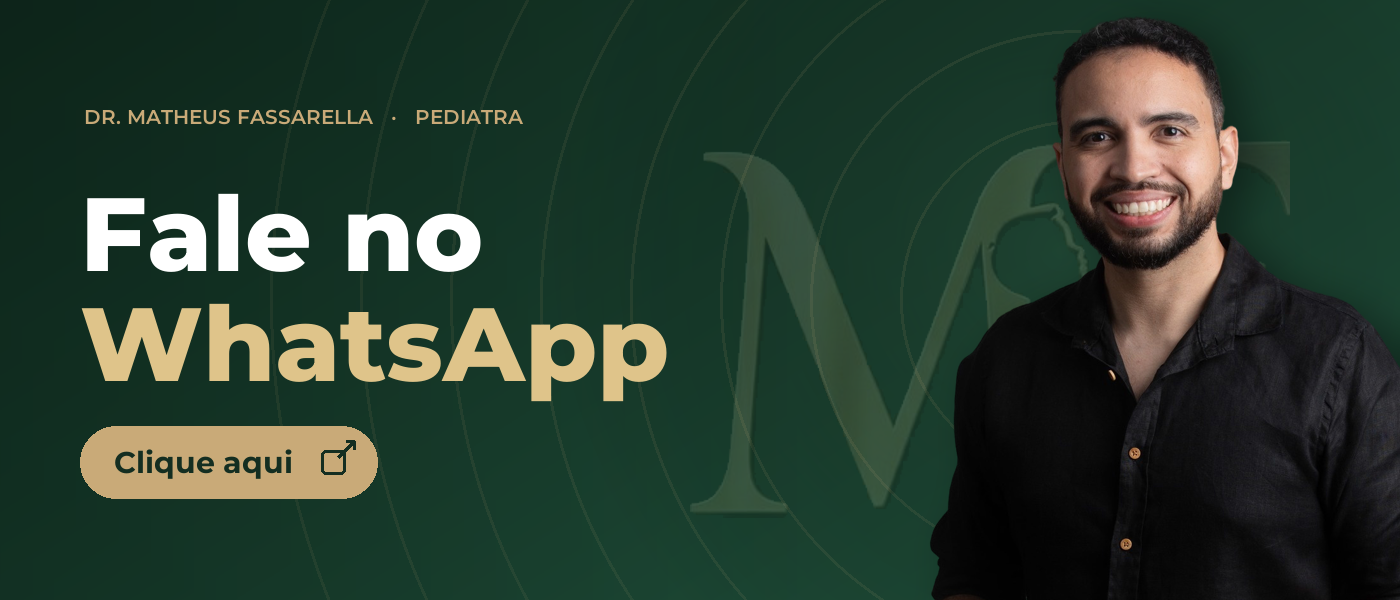 Fale no WhatsApp